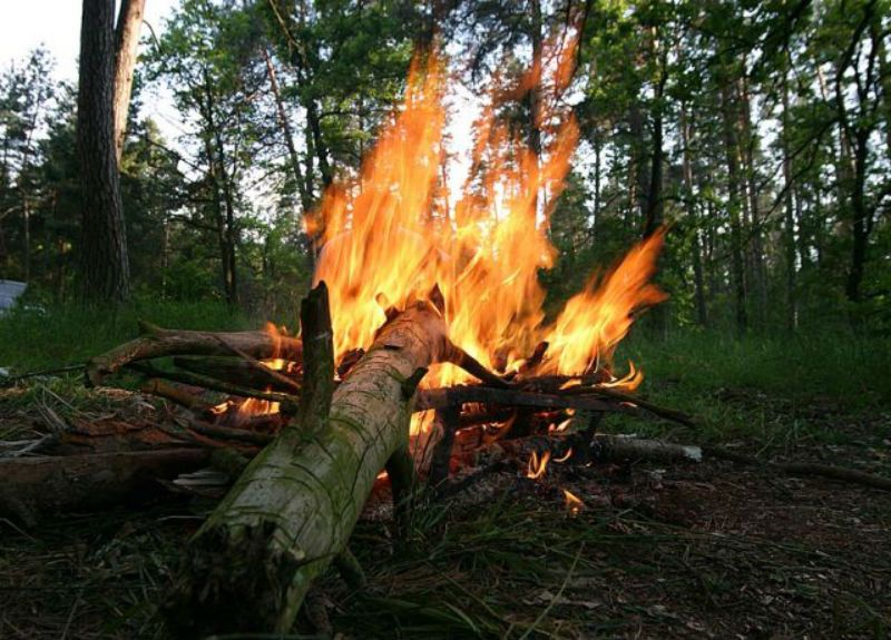 Будь проще костры. Розжиг костра в лесу. Костер в лесу. Разжигание костра в лесу. Не разжигать костер в лесу.